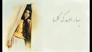 نماهنگ گل نار (دلربا ، دل نشین) - بیژن بیژنی