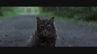 دانلود زیرنویس فارسی فیلم  Pet Sematary 2019  با زیرنویس فارسی چسبیده CTFILM@