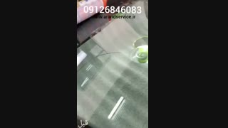 ترمیم شیشه اتومبیل درمحل