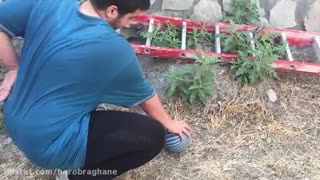 وقتی توپ میره خونه ى همسایه بغلى!