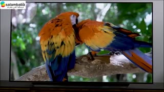 معرفی تلویزیون جدید ال جی مدل C9