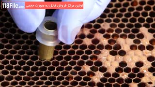 تکنیک هایی برای گرفتن بیشتر عسل از زنبوراتون