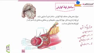 تدریس  زیست دهم | فصل دوم | گفتار 2