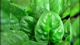 10 سوپر ماده غذایی برای نابود کردن سلول های سرطانی(3)