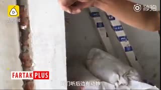 لحظه وحشتناک سقوط جرثقیل در خیابان