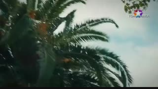 قسمت 1 سریال عروس های فراری با زیرنویس فارسی