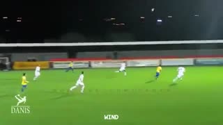 گل هایی که توسط داور ، توپ جمع کن ،باد،سگ ،توپ اضافه درزمین و...گل شده اند