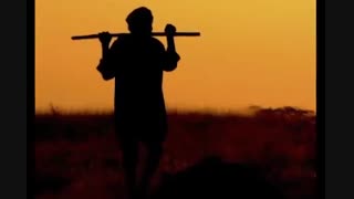 محلول ضدسرمازدگی