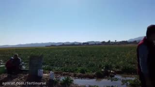 مصاحبه با تعدادی از کشاورزان دررابطه با استفاده از محصولات فرتی نرس