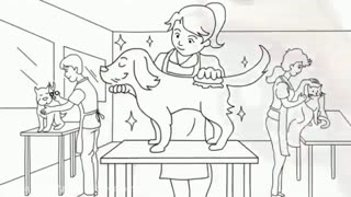 آرایشگاه حیوانات خانگی پت استایلیست