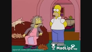 اصلن گربه دوست نداره