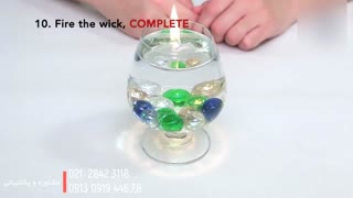 ترفند های مراقبت از درخت شاه بلوط از کاشت دانه