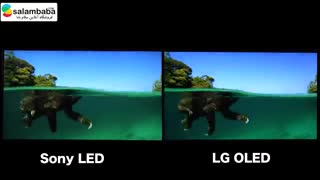 مقایسه تلویزیون های سونی و ال جی