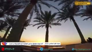 موزه هنر اسلامی دوحه ، شاهکار معماری در خلیج فارس - بوکینگ پرشیا BookingPersia