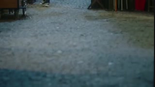 سریال چینی رودی که به سمت تو جریان دارد (River Flows To You)  2019 قسمت پنجم با زیرنویس فارسی آنلاین با بازی Zheng Shuang