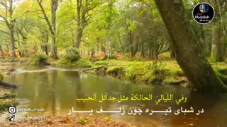 نماهنگ ببار ای بارون ببار - شجریان