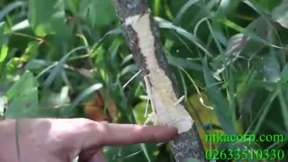 انواع تیغه علفتراش و کاربردهای آن ها