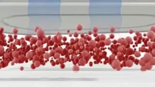 ماشین ظرفشویی بوش