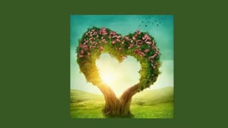 چالش شیدا خانم