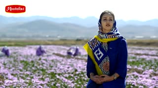 فواید زعفران بر سلامت و شادابی پوست