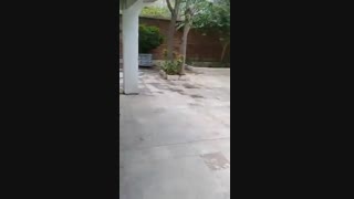 بچه هاا همه ت