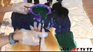 فیلم آموزش رنگ  و دکلره کردن اکستنشن مو+ رنگ مو فانتزی