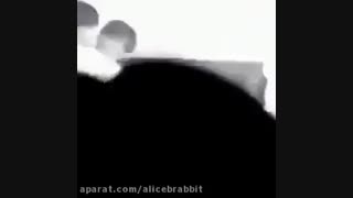 هوپمین کیسس*-*پیشنهاد ویژه