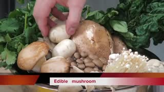 تعدادی از انواع قارچ خوراکی