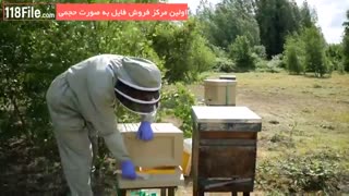 آموزش پرورش زنبورعسل