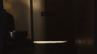 فیلم سینمایی موستانگ The Mustang 2019 دوبله فارسی