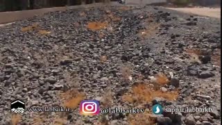 آیتم برنامه با کاروان3- نکبت نفاق