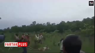 کشتن ببر بیچاره با چوب و چماق توسط روستائیان وحشی!