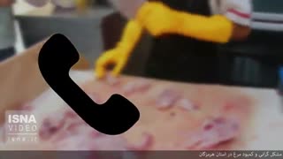 گرانی و کمبود مرغ در استان هرمزگان