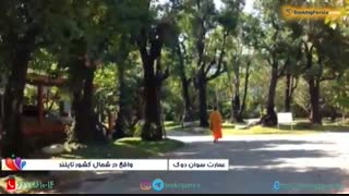 معبد سوان داک در تایلند مکانی زیبا و سرشار از مجسمه ها و نقاشی های شرقی - بوکینگ پرشیا bookingpersia