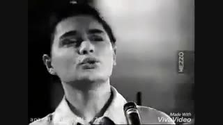 ساری گلین