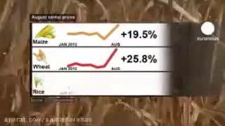 فروش عمده محصولات کشاورزی