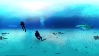 گشت و گذار در دل اقیانوس