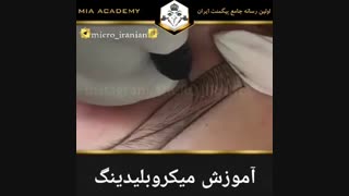 آموزش میکروبلیدینگ