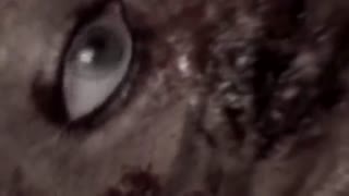 تیزر قسمت نهم سریال احضار +‌ دانلود