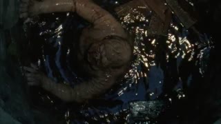The Walking Dead (مردگان متحرک ) فصل2قسمت 4 (با دوبله پارسی)