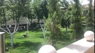 1200 متر باغ ویلا در خوشنام ملارد