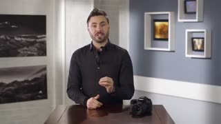 اجاره دوربینهای فیلمبرداری و عکاسی،اجاره دوربین کانن دی 80،دوربین کانن d80