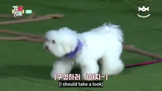 قسمت 8 برنامه Puppy Day از Monsta x با زیرنویس فارسی