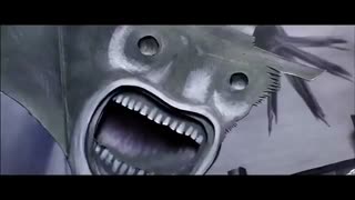 The Art of The Close Up