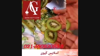 دستگاه اسلایسر میوه و سالاد