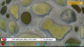 دریاچه خالدار کانادا ! دریاچه ی عجیبی که خال خالی است - بوکینگ پرشیا bookingpersia