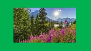 راه دست یابی به نتایج به دین چیست ؟