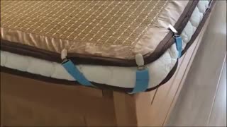 گیره نگهدارنده برای ملحفه تخت، مبل و میز اتو