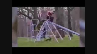 ویدئو : کلیپ های جالب : خنده دارترین صحنه ها- جدید