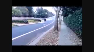 دانلود کلیپ - بامزه ترین- کوتاه